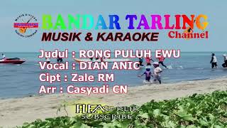 RONG PULUH EWU - DIAN ANIC New 2019