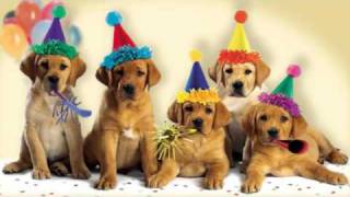 Cute Dogs Bark the 'Happy Birthday' Song