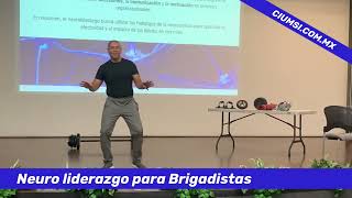 Neuro liderazgo para brigadistas