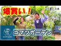 バラ苗専門店で爆買いして来ました！ (._.)