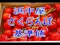 さくらんぼ通販の品質基準と配送手順。代表バイヤーのご説明。Sato Nishiki Japanese cherry