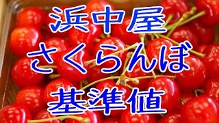 さくらんぼ通販の品質基準と配送手順。代表バイヤーのご説明。Sato Nishiki Japanese cherry