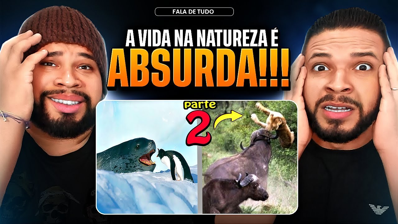 🔴 Quando os Animais Escolhem o Oponente Errado PARTE 2! Ninguém Aprendeu a Lição | Fala de Tudo