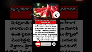 #watermelon #watermelonseeds #healthtips #summerhealth #hydration #nutrition #healthyfood