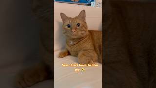 Im Sweet Isnt That Enough?