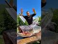 A huge fish fried on a fire #food #cooking #asmr