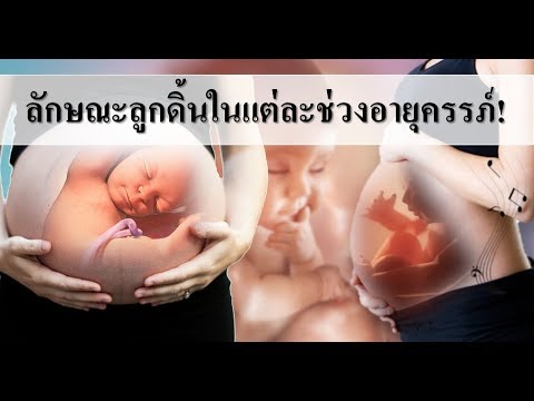 วีดีโอ: วิธีสังเกตการเคลื่อนไหวของทารกในครรภ์ขณะตั้งครรภ์