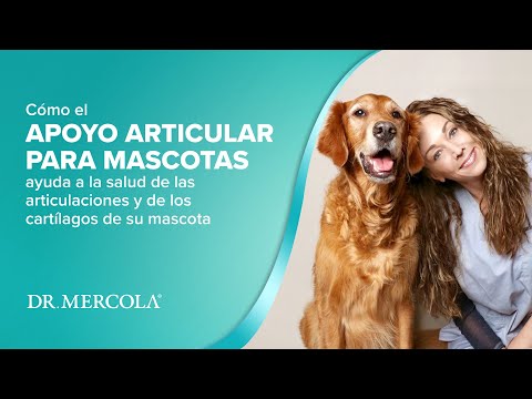Video: Un Veterinario Habla Sobre Los Mejores Ingredientes Para Los Suplementos Articulares Para Perros