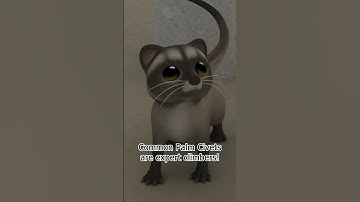 This Cute Kitty is an Explorer! ✈️ | Leo the Wildlife Ranger | #shorts #education #kids #animals