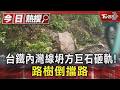 台鐵內灣線坍方巨石砸軌! 路樹倒擋路｜TVBS新聞 @TVBSNEWS01