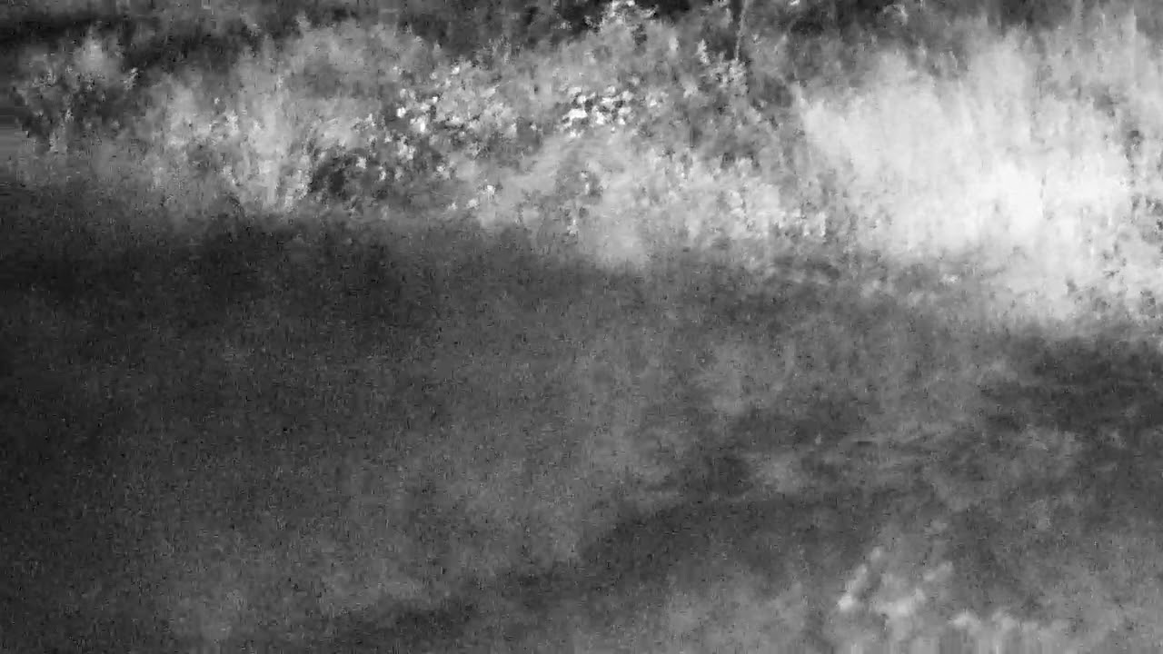 Djuma Private Game Reserve Live Stream: Scrub Hare pair  -  05/09/18