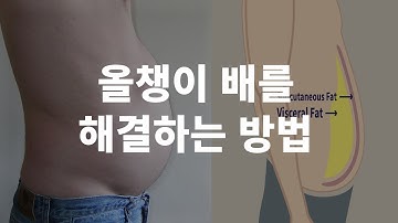 팔 다리는 가는데 왜 유독 배만 볼록 튀어나오는걸까?