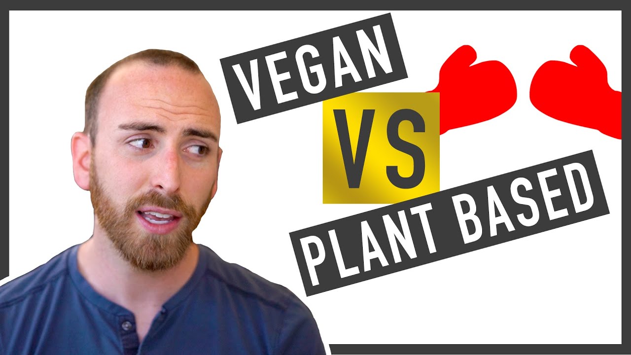 Vegan vs. Plant Based | Is there a difference between vegan and plant ...