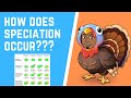 How Does Speciation Occur?