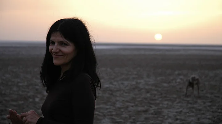 Mitra Tabrizian in conversation with Roberta McGra...