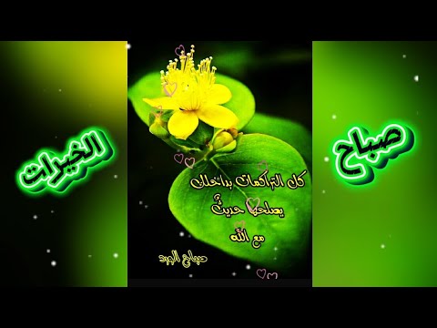 أتركہا تأتے كما أرادها اللہ لعلہا تأتے كما تمناها قلبک صباح الخير حالات واتس صباحيات ستوريات نور