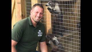 Animal Adventures with Jordan: Coatimundi