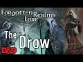 The drow of the forgotten realms  dd lore