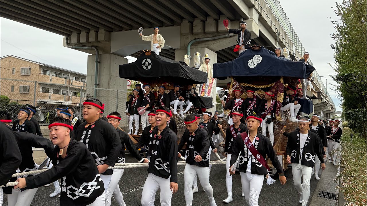R7.10.4 菱木だんじり祭り 宵宮 午前曳行(東・南・奥・白木・太平寺) 2025/10/04(土)