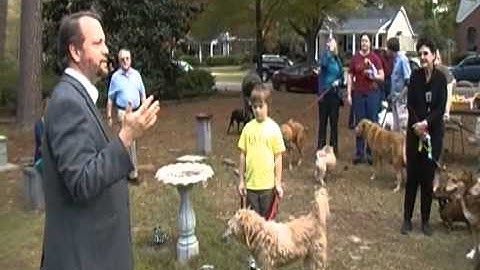 Blessing the Animals the Unitarian Universalist Way