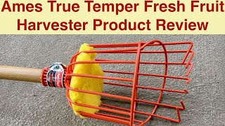True Temper Fresh Fruit Harvester by Ames Product Review screenshot 1