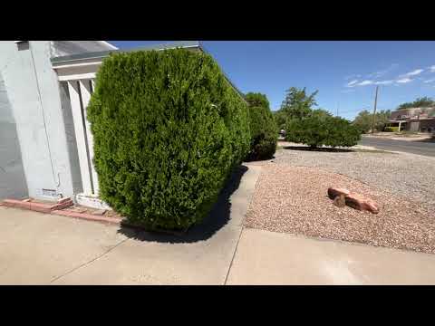 1727 Solano Dr., Albuquerque, NM home video tour