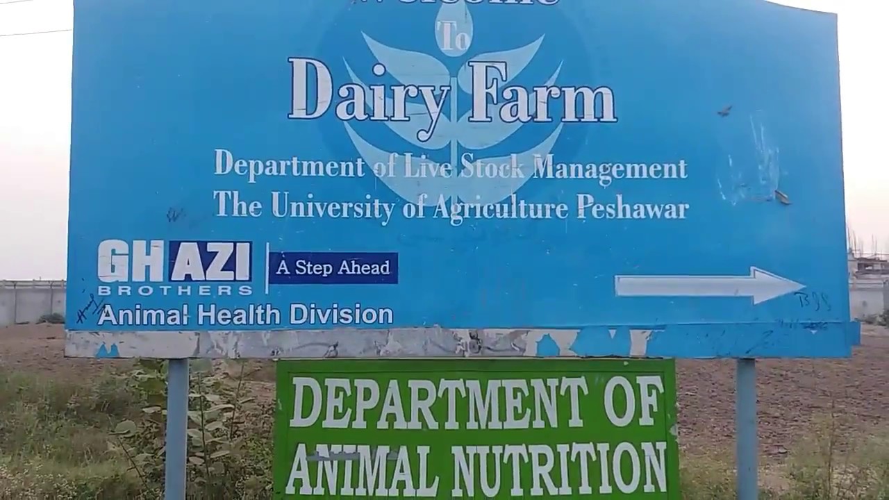 Agriculture university peshawar farms YouTube
