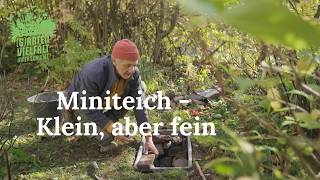 Miniteich - Klein, Aber Fein