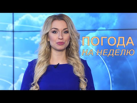 Video: Бакчада жана огороддо аба ырайы кандайча оңолот