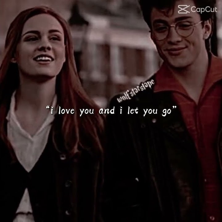 lily and james potter