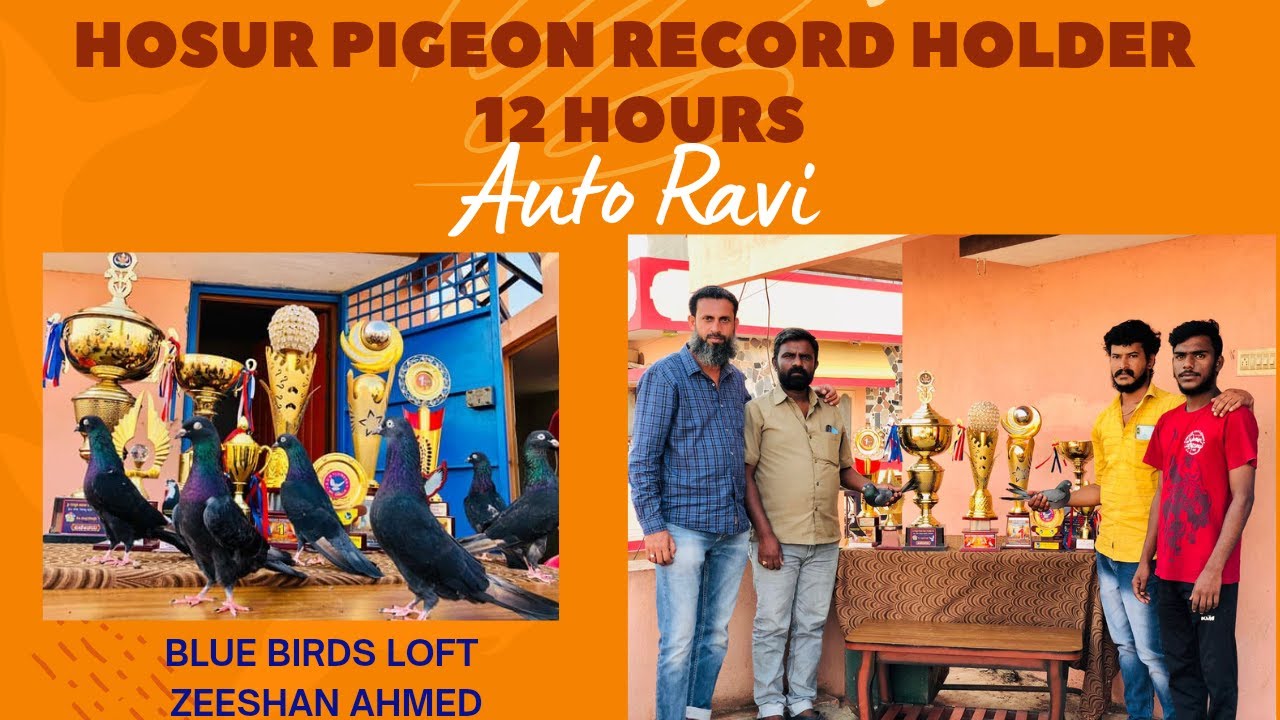 HOSUR PIGEON RECORD HOLDER || AUTO RAVI