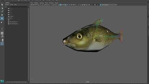 How to Rigging  Fish Maya  Tutorial (Part 2 )