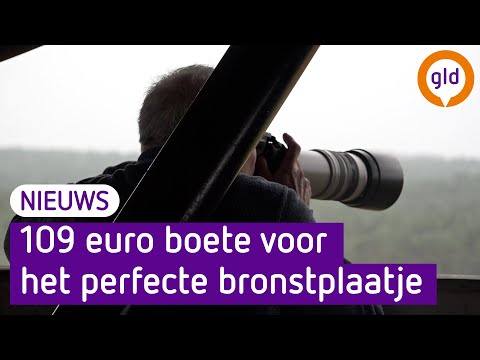 Boete van boswachter, maar mooie hertenfoto: 'Het is het plaatje wel waard'