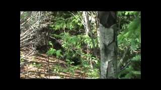 Red Island Airsoft - Attack The Hill - May 27, 2012.wmv