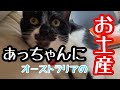 【ヒロシの自由じかん】オーストラリアであっちゃんのお土産を買う