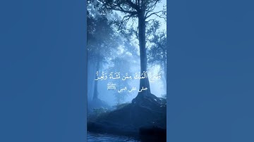 ﴿ قُلِ ٱللَّهُمَّ مَـٰلِكَ ٱلۡمُلۡكِ ﴾سورة آل عمران – الآية 26 للشيخ محمد صديق المنشاوي #ارح_قلبك