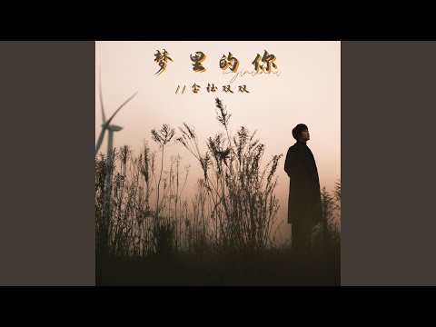 梦里的你