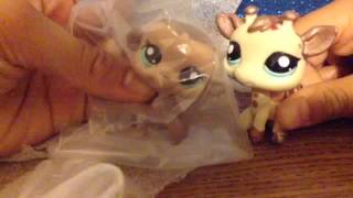 LPS-Monkey Mail Time!#11(Ebay Package) MONKEY!!!!