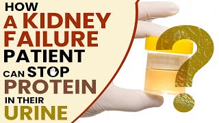 How a Kidney Failure Patient Can Stop Protein in their Urine