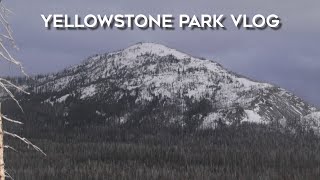 YellowStone National Park Vlog: 2020 Road Trip Adventure
