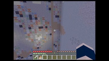 Minecraft weird block skin bug