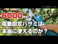 マキタのバッテリーをお持ちの方必見！電動剪定バサミを使って、ハウスみかんの木を剪定してみた。【Munikind】