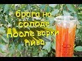 Брага на солоде после варки двух сортов пива. Бельгийский эль и темное пиво.