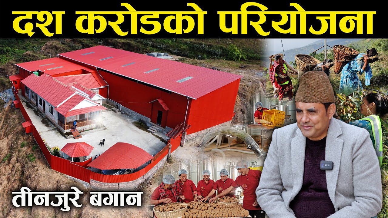 तीनजुरे बगान : दश करोडको परियोजना - Tinjure Garden: A Project Worth Ten Crores