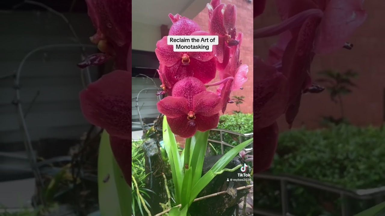 Multitasking to monotasking