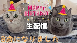 ハムとマロ8歳のお誕生日ライブ！