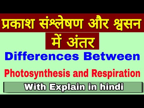 प्रकाश संश्लेषण और श्वसन में अंतर | differences between photosynthesis and respiration