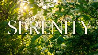 ☘️🌿🌳 Relaxing Nature Scenes With Instrumental Music: Dax Johnson - A Moment In The Life...