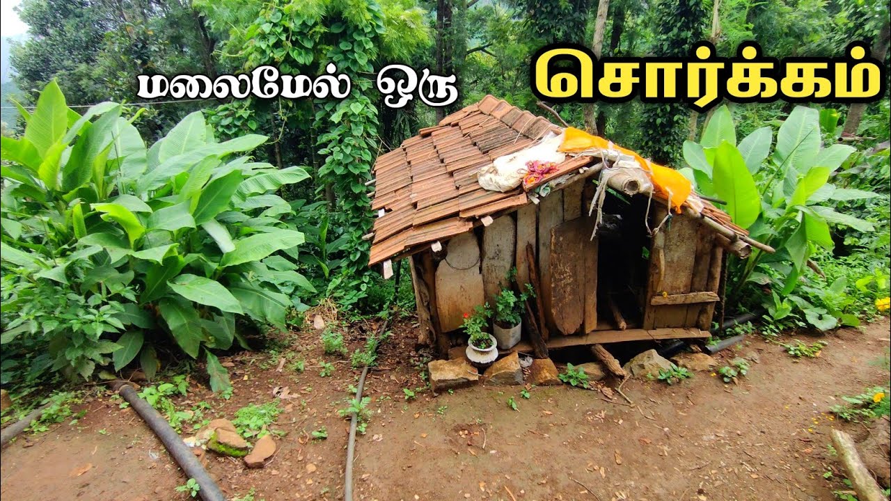 சொர்க்கம் போல் ஒரு கிராமம் நீலகிரி A village like paradise 