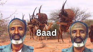 Dagaal suugaaneedkii Abwaan Maaweel Abwaan Yasin xirsi 'Colgondood\